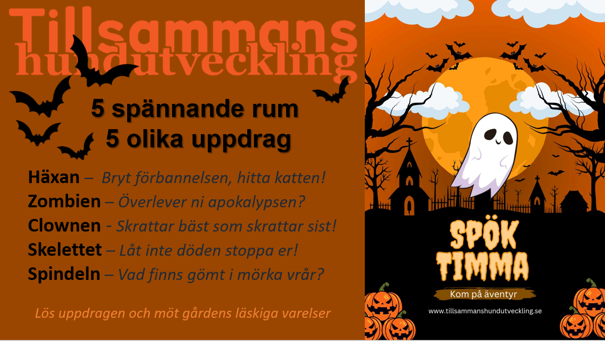 VAR MED PÅ ETT ÄVENTYR! Nu kan du boka din spöktimme! Missa inte denna unika upplevelse med din hund där ni får möta gårdens spöken och lösa spännande uppdrag.  Bokningsbara datum är från 27 oktober fram till 8 november.  Tid  ca 80 minuter Plats HundLogen Fallingeberg, Valdemarsvik Pris 550 kr Välkommen med din bokning.