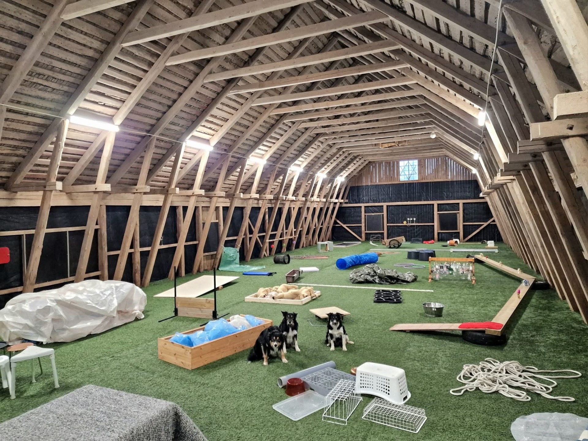 HINDERBANAN STÅR FRAMME från lördag 13 december! Passa på att boka en kul stund med din hund! Du har dessutom tillgång till stor rasthage att springa fritt i vid önskemål. För 250 kr har du banan ensam i två timmar.